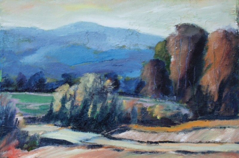 Krajina 29 olej na lepenke 40x60cm.jpg